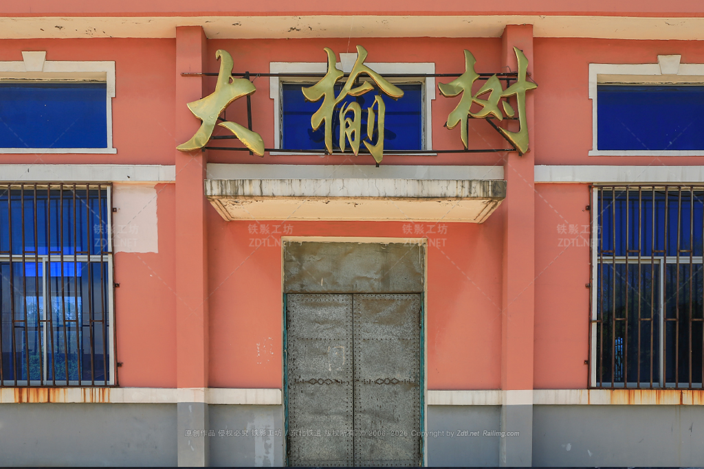大榆树